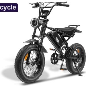 Ebike,1000W Motor,48V15Ah Battery,20 Inches,Maximum Speed 45-50KM