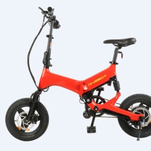 Electric Bicycle